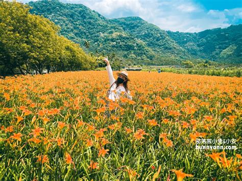 小魚池|南投【魚池景點】推薦12個魚池熱門景點，魚池一日遊這樣玩!